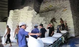 Giá gạo xuất khẩu giảm làm nhóm hàng nông sản bị giảm khoảng 160 triệu đô la trong quí 1. Ảnh TL SGT