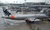 Jetstar hủy chuyến bay vì chim