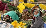 6 chợ hoa Tết nổi tiếng của Hà Nội