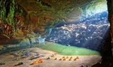 Ngỡ ngàng những bức ảnh thiên đường Sơn Đoòng 