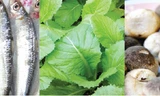 Cá trích, cải xanh, nấm rơm... thích hợp dùng chế biến món ăn cho người bệnh thận, béo phì, tiểu đường...