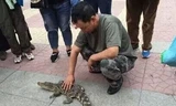 Người đàn ông thản nhiên dắt cá sấu đi dạo giữa đường. Ảnh: Weibo