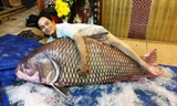 Thịt cá hô khổng lồ giá 4 triệu/kg ở Sài Gòn