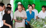 Thủ tướng Nguyễn Xuân Phúc đến thăm Dự án đầu tư Nông nghiệp ứng dụng công nghệ cao Vineco Hải Phòng. Ảnh: Thống Nhất-TTXVN