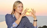 Sharapova vô địch về… được cổ động viên cầu hôn