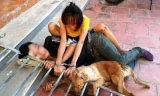 Cặp tình nhân trộm chó bị bắt giữ xích cùng với con chó tang vật tại UBND xã Phú Lộc