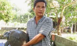 Từ việc bán con giống và thịt ba ba, cua đinh... mỗi năm ông Thủ lãi trên 1 tỷ đồng.