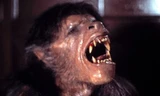 Tạo hình nhân vật người sói trong phim American Werewolf. Ảnh: Mirror