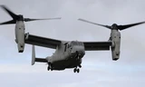 Một máy bay Osprey. 
