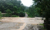 Một học sinh tiểu học chết thảm vì bị lũ cuốn trôi