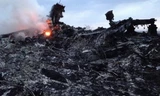 Hiện trường máy bay MH17 của Malaysia rơi tại Ukraine. (Nguồn: AP)