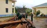 Lực lượng biên phòng tại TT-Huế tạm giữ số gỗ lậu phục vụ công tác điều tra. 