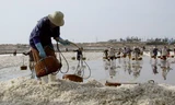 Nghề muối cơ cực vì chưa được đầu tư đúng mức - Ảnh: Đào Ngọc Thạch
