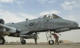 'Thần sấm' A-10 tham gia diệt IS