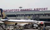 Nhiều người Việt bay sang Singapore bị nhà chức trách nước này từ chối nhập cảnh.