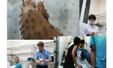 Các chuyên gia y tế thử nghiệm cho muỗi ăn máu người để nghiên cứu dự án "tiêm vắc-xin cho muỗi". 