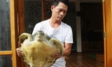 Cá thể rùa biển có nguy cơ tuyệt chủng đã được anh Hải phối hợp với ngành chức năng TP Sầm Sơn thả về môi trường tự nhiên