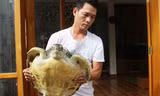 Cá thể rùa biển có nguy cơ tuyệt chủng đã được anh Hải phối hợp với ngành chức năng TP Sầm Sơn thả về môi trường tự nhiên