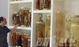 Anh Tuyền bên những bình rượu sâm tuyệt đẹp 