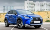 Hiện xe nhập khẩu từ Nhật vào Việt Nam chủ yếu là Lexus, Subaru cùng một số mẫu lẻ của Toyota.