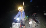 Nông dân xứ Nghệ ra đồng cấy đêm để trốn nắng nóng