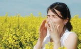 Mùa xuân, cẩn thận dị ứng với phấn hoa và côn trùng
