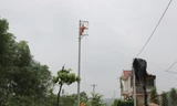 Công nhân Công ty Điện lực Phú Thọ sửa chữa lưới điện, khắc phục hậu quả của bão số 3