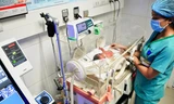 Bé gái sơ sinh đang được chăm sóc tại Bệnh viện đa khoa Nghệ An. Ảnh: Hoàng Yến.