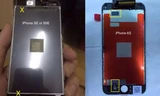 Tấm nền màn hình được cho là iPhone 5se, so sánh với linh kiện trên iPhone 6s.
