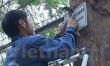 Công nhân công ty Trách nhiệm hữu hạn một thành viên Công viên cây xanh Hà Nội treo biển trên tuyến phố Trịnh Hoài Đức. (Ảnh: Mạnh Khánh/Vietnam+) 