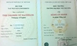 Văn bằng của một sinh viên tốt nghiệp ngành sư phạm tiếng Anh ĐH Tây nguyên. 