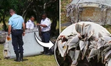 Các con hàu bám trên mảnh vỡ cho thấy nó có thể một bộ phận của chiếc máy bay MH370. Ảnh: Express