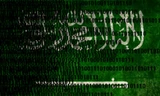 Hacker tấn công DDos vào trang web của Bộ quốc phòng Arab Saudi.