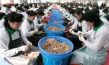 Triều Tiên cấm công nhân nhận thù lao bằng bánh