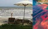 Hiện tượng thủy triều đỏ tại Mũi Né-Phan Thiết và tại Mỹ.