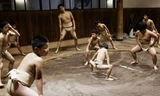 Một ngày khổ luyện của các võ sĩ sumo nhí Nhật Bản