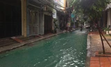 Cả ngõ phố ngập nước màu xanh kỳ lạ