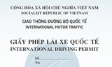 Người Việt được cấp giấy phép lái xe quốc tế từ tháng 10