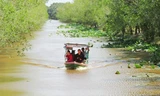 Thuyền chạy bằng năng lượng mặt trời được đưa vào sử dụng tại khu du lịch Tràm Chim (Đồng Tháp). Ảnh: NVCC.