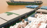 Đưa gạo xuống tàu