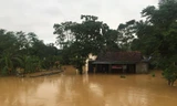 Hàng vạn căn nhà ở Hà Tĩnh chìm trong nước, 2 người tử vong