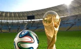 Bản quyền World Cup 2014 tại Việt Nam khá đắt