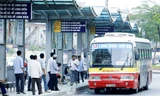 Trong năm nay Hà Nội lên phương án mở thêm 14 tuyến buýt mới