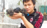 8X Việt thành đại gia nhờ nuôi loài chó đắt nhất hành tinh