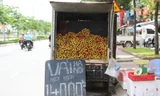Các điểm bán vải lưu động có giấy phép sẽ giúp thị trường Hà Nội tiêu thụ lượng lớn vải thiều năm nay. Ảnh: Vnexpress