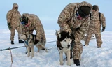 Quân khuyển đặc biệt của lính dù Nga ở Bắc Cực