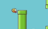 Một số nguồn tin từng cáo buộc Flappy Bird vi phạm bản quyền hình ảnh ống cống màu xanh của game Mario từ Nintendo.