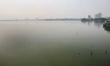 Hồ Tây sau 10 ngày cá chết hàng loạt
