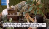 Cô gái trồng 670 cây trong nhà để thanh lọc không khí