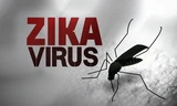 Khi nào thai phụ cần xét nghiệm Zika?